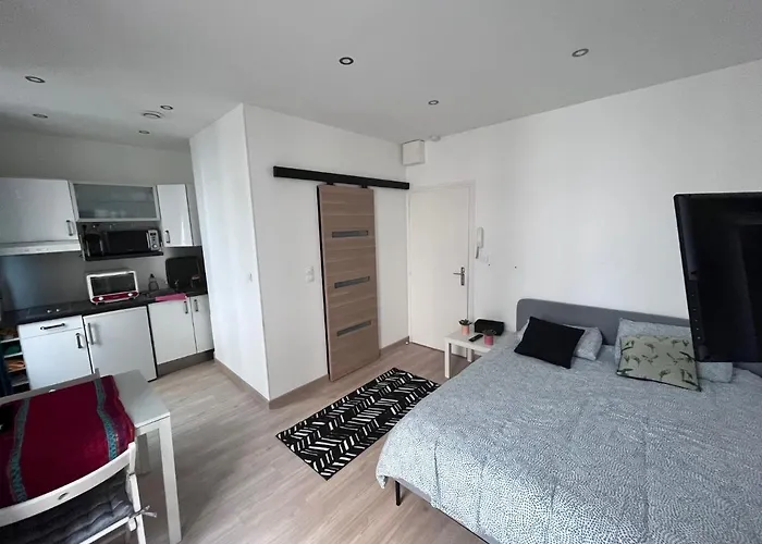 Appartement Cosy centre ville Aix les bains (Cures et courts sejours)